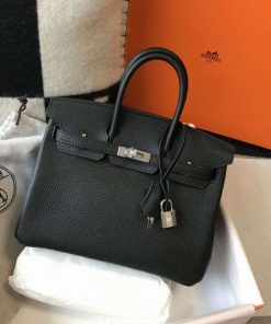 Birkin Dream bag 25cm am 03