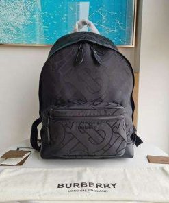 Burberry 30.5x14.5x.5cm HQ 1